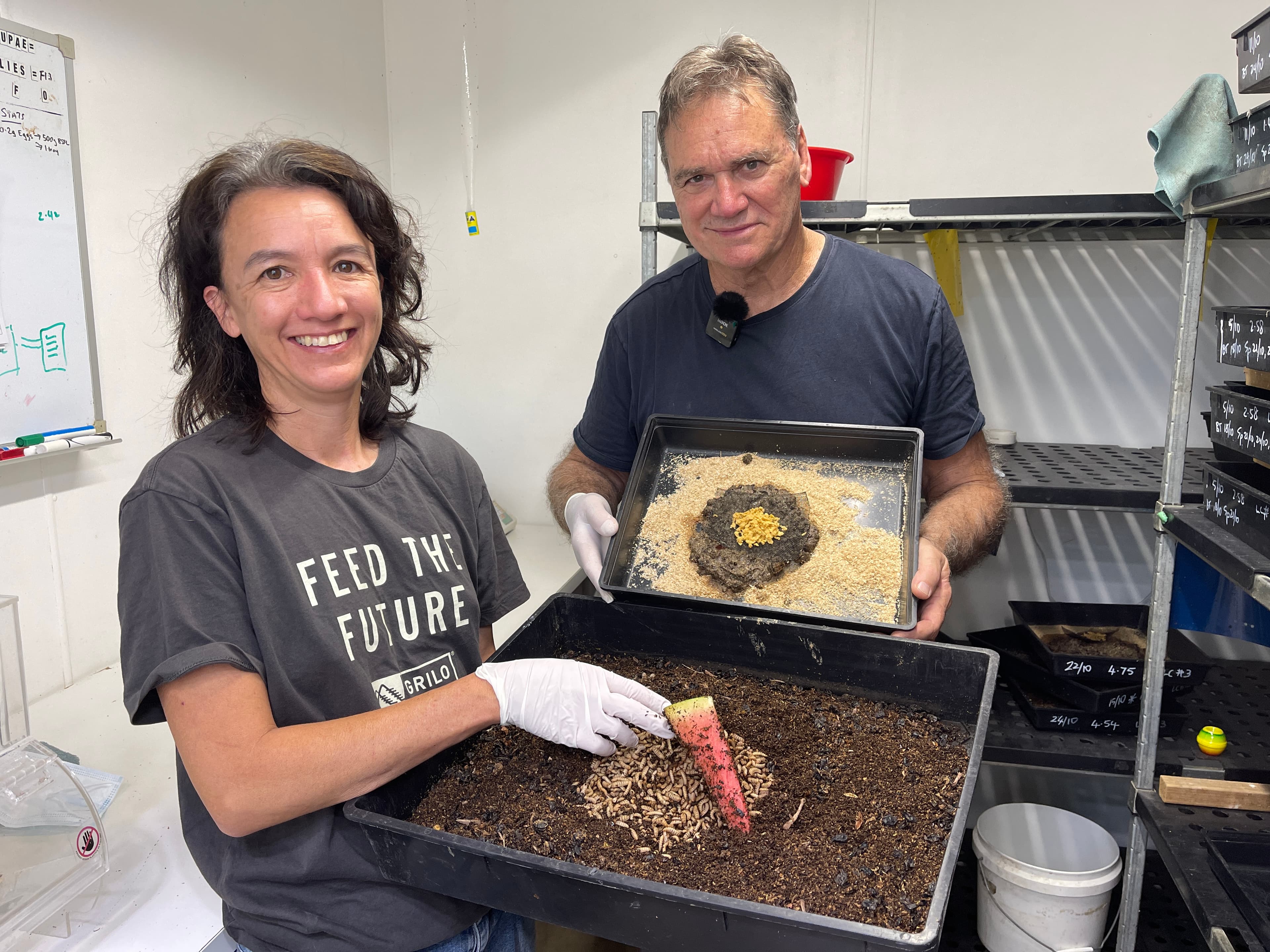 From Food Waste to Feed: Nurturing a Sustainable Future with Black Soldier Flies