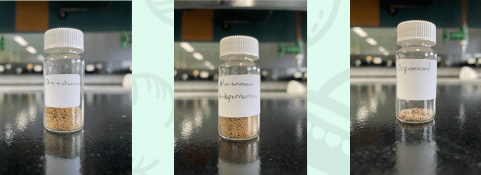 Flinders University Science Connect Project: Validation of Chitin Extraction Protocol from Black Soldier Fly Larvae