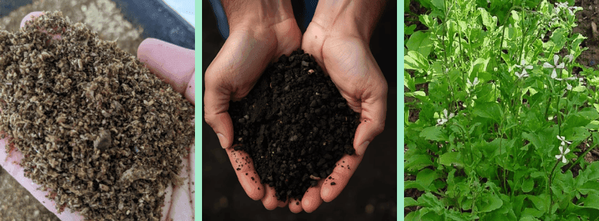 Sustainable soil solutions: Combining Biochar and Insect Frass for improved plant and soil health