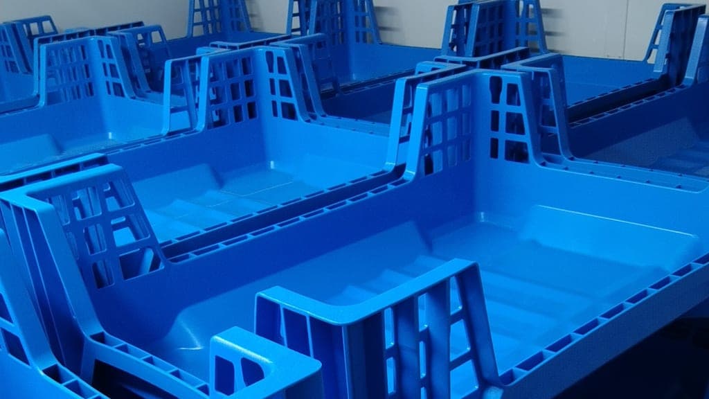 Sowing the seeds for the sustainability of the Australian Insect Industry