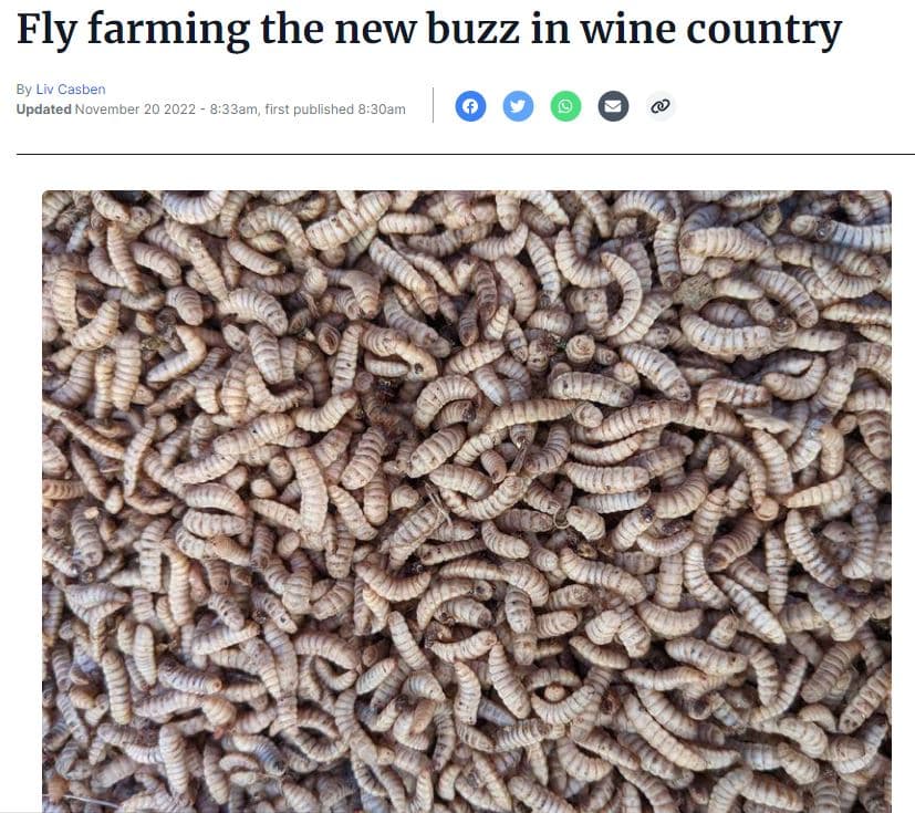 Transforming Food Waste into Sustainable Feed in Barossa Valley