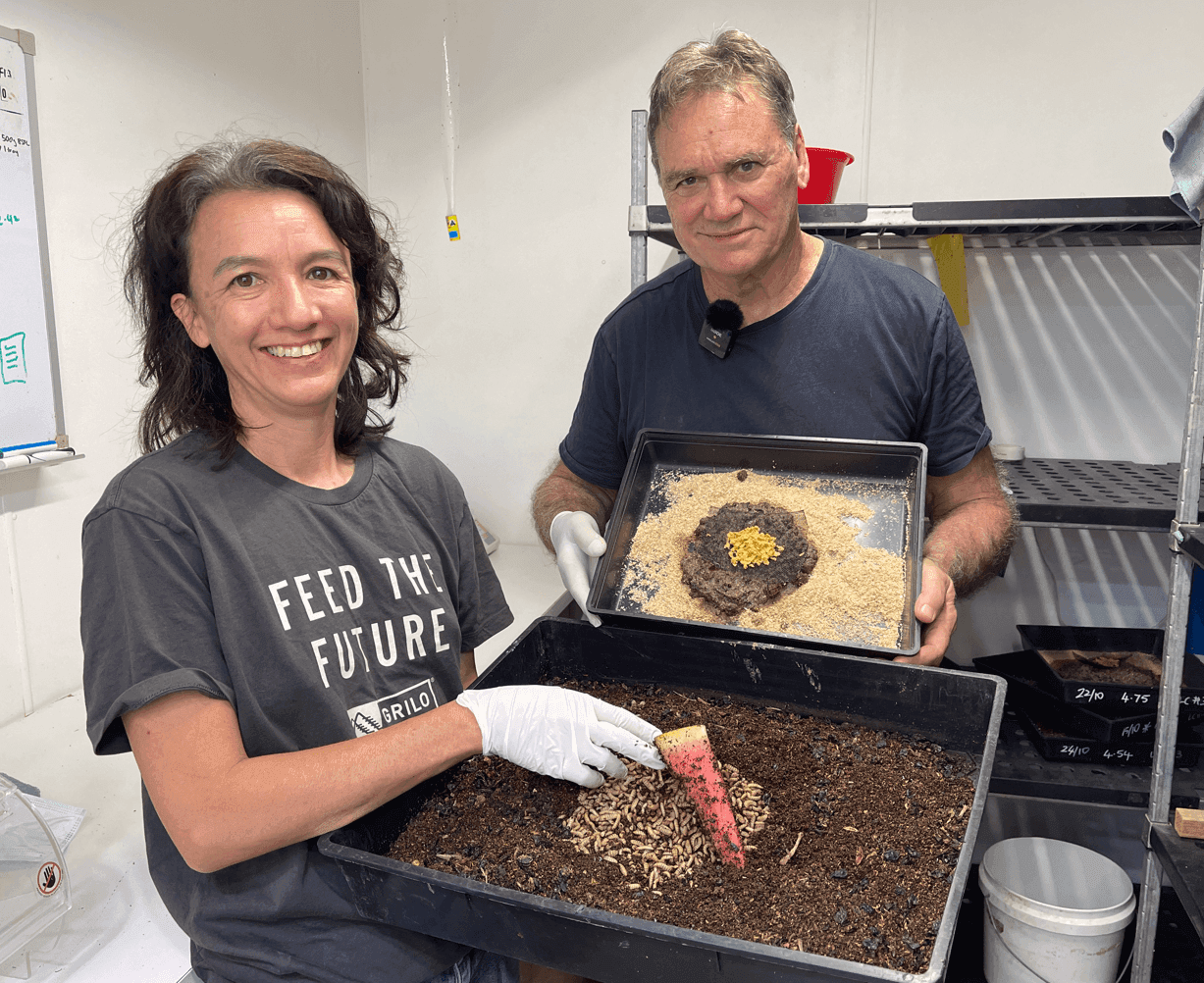 Where the Global Insect Industry Stands — and Why We're Still Here